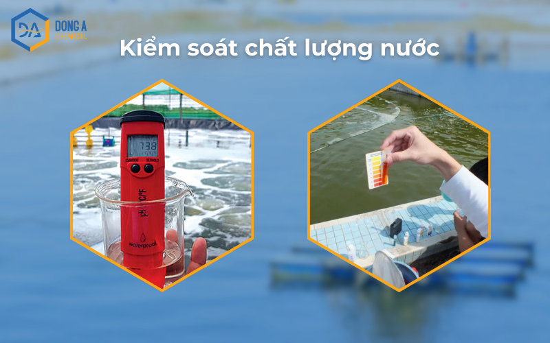 Kiểm soát chất lượng nước hạn chế tôm lột dính vỏ